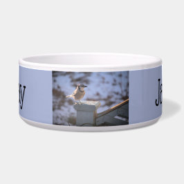 オカケス ボウル