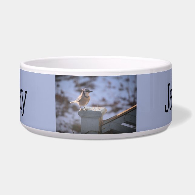 オカケス ボウル (正面)