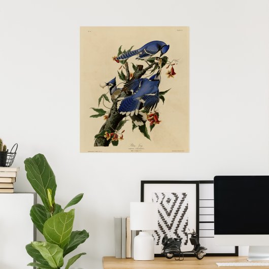 オカケス ポスター (ホームオフィス)