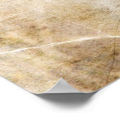 オカケス ポスター (角)