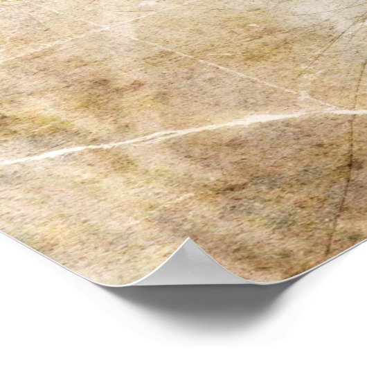 オカケス ポスター (角)