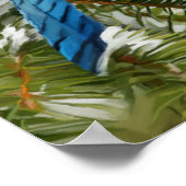 オカケス ポスター (角)