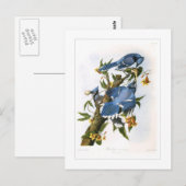 オカケス ポストカード (正面/裏面)