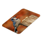 オカケス マグネット (左側)