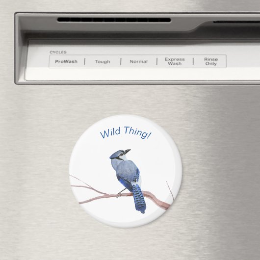 オカケス マグネット (インサイチュ (食洗機))