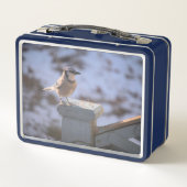 オカケス メタルランチボックス (裏面)