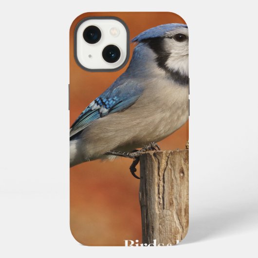 オカケス iPhoneケース (裏面)