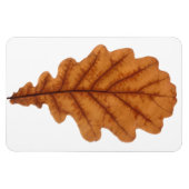 オカシの秋葉 マグネット (横)