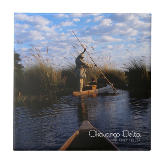 オカバンゴデルタ タイル (正面)