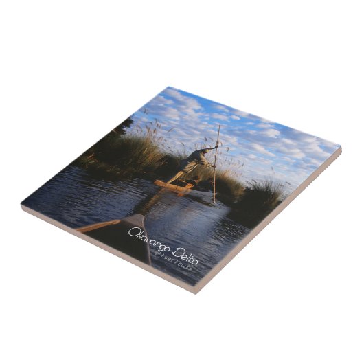 オカバンゴデルタ タイル (側面)