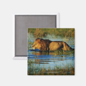 オカバンゴデルタ、ボツワナ3 マグネット (正面/裏面)