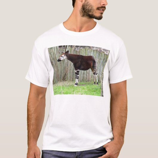 オカピの待機の塀 Tシャツ (正面)