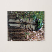 オカピの裏側 ジグソーパズル (横)