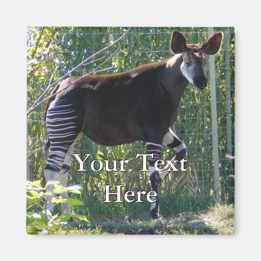 オカピ磁石 マグネット (正面)