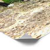 オカピ ポスター (角)