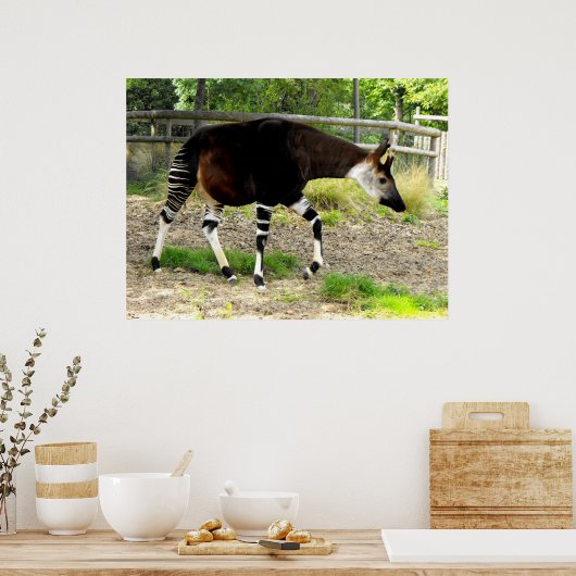 オカピ ポスター (キッチン)