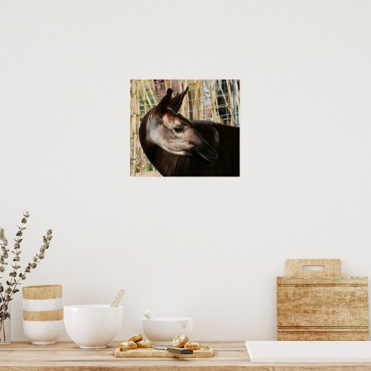 オカピ ポスター (キッチン)