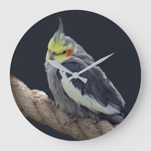オカメインコのぬいぐるみウォールクロック ラージ壁時計 (正面)