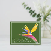 オカメインコのグリーンバックGROUND お見舞いカード ポストカード (スタンド正面)