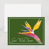 オカメインコのグリーンバックGROUND お見舞いカード ポストカード (正面/裏面)