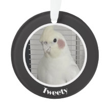 オカメインコの写真追悼メモリアル