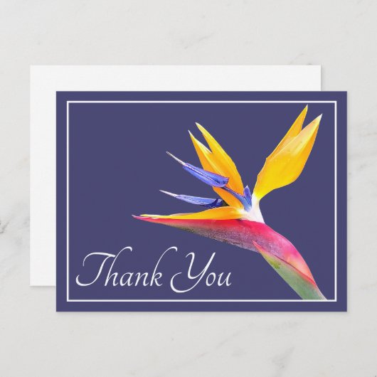 オカメインコの天の青背景 サンクス ポストカード (正面/裏面)