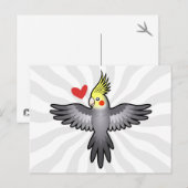 オカメインコの愛 ポストカード (正面/裏面)