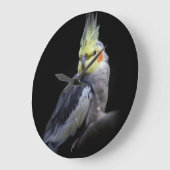 オカメインコ時計 ラージ壁時計 (傾斜)
