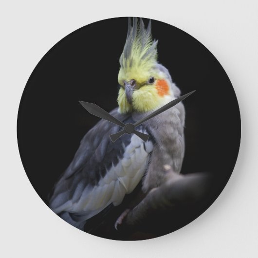 オカメインコ時計 ラージ壁時計 (正面)