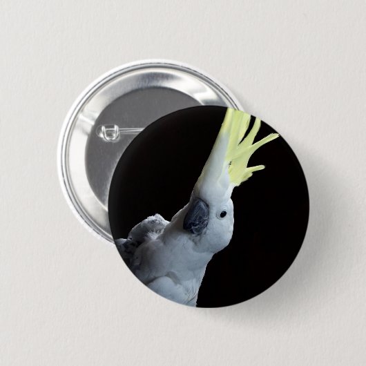 オカメインコ 缶バッジ (正面&裏面)