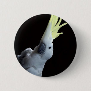 オカメインコ 缶バッジ