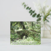 オカラ国立森林フロリダのポストカードでの橋 ポストカード (スタンド正面)