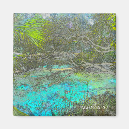 オカラ国立森林フロリダ磁石 マグネット