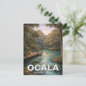 オカラ国立森林 フロリダ州の旅 ポストカード (スタンド正面)