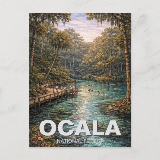 オカラ国立森林 フロリダ州の旅 ポストカード (正面)
