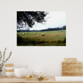 オカラ・フロリダのヘイ・バレスのポスター写真アート ポスター (キッチン)