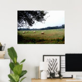 オカラ・フロリダのヘイ・バレスのポスター写真アート ポスター (ホームオフィス)