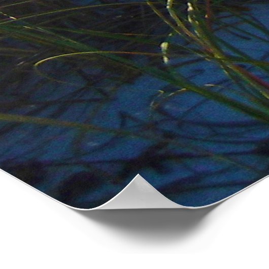 オカロサ島 ポスター (角)