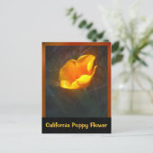 オガンジュカリフォルニアフラワー ポストカード (スタンド正面)