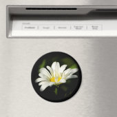 オキザイデイジーラウンドマグネット マグネット (インサイチュ (食洗機))