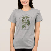 オキシモバシリクム バジル 植物園 トライブレンドTシャツ (正面)