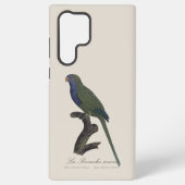 オキナインコまたはオキナコンゴウインコ、Myiopsitta Monachus Samsung Galaxyケース (裏面)