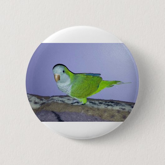 オキナインコ 缶バッジ (正面)