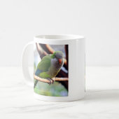オキナインコ , Monk parakeet コーヒーマグカップ (正面左)