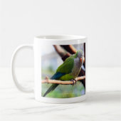 オキナインコ , Monk parakeet コーヒーマグカップ (左)