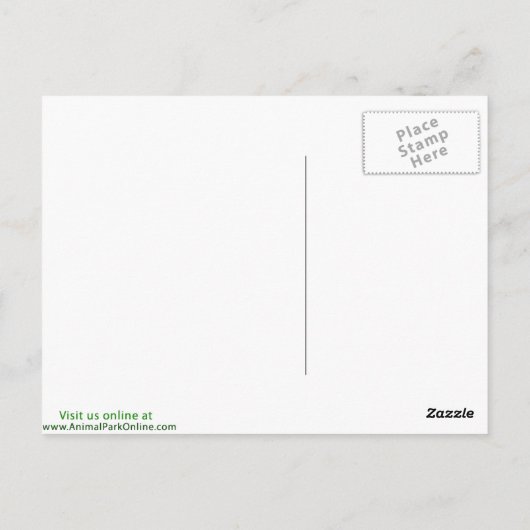 オクセルトルコ ポストカード (裏面)