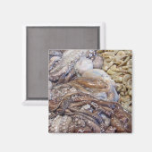 オクトピ マグネット (正面/裏面)