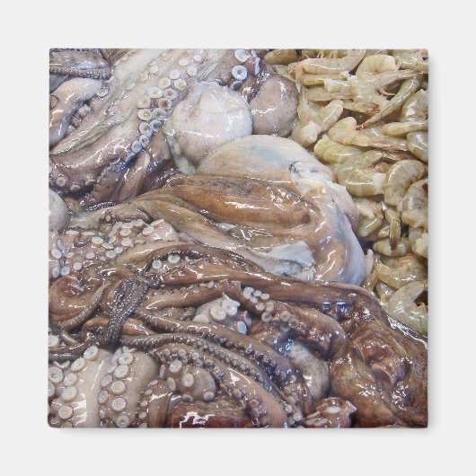 オクトピ マグネット (正面)