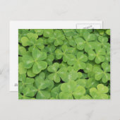 オクラシオノガナの木のソレルの葉のビュー ポストカード (正面/裏面)