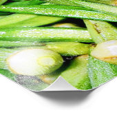 オクラスグリーン野菜フォトプリント フォトプリント            (角)